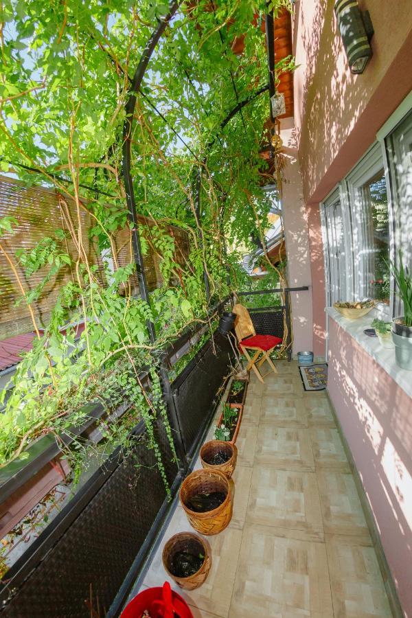 Apartman Zamak Сомбор Экстерьер фото